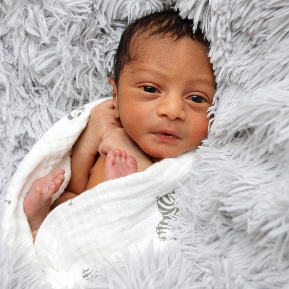 Meet your Posher, Bryx - Picture 1 of 1